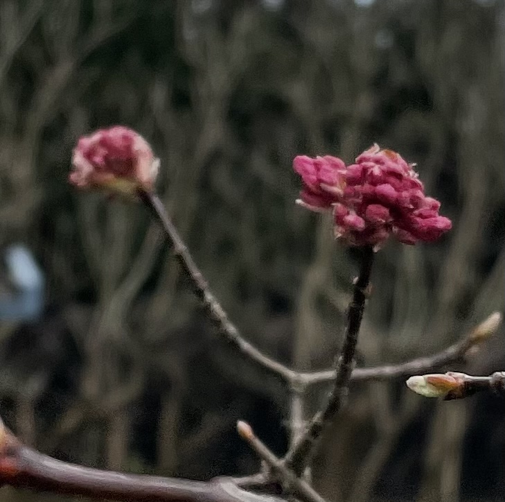 FE963EDB-D5A6-413E-A1B4-9433B2A6331E