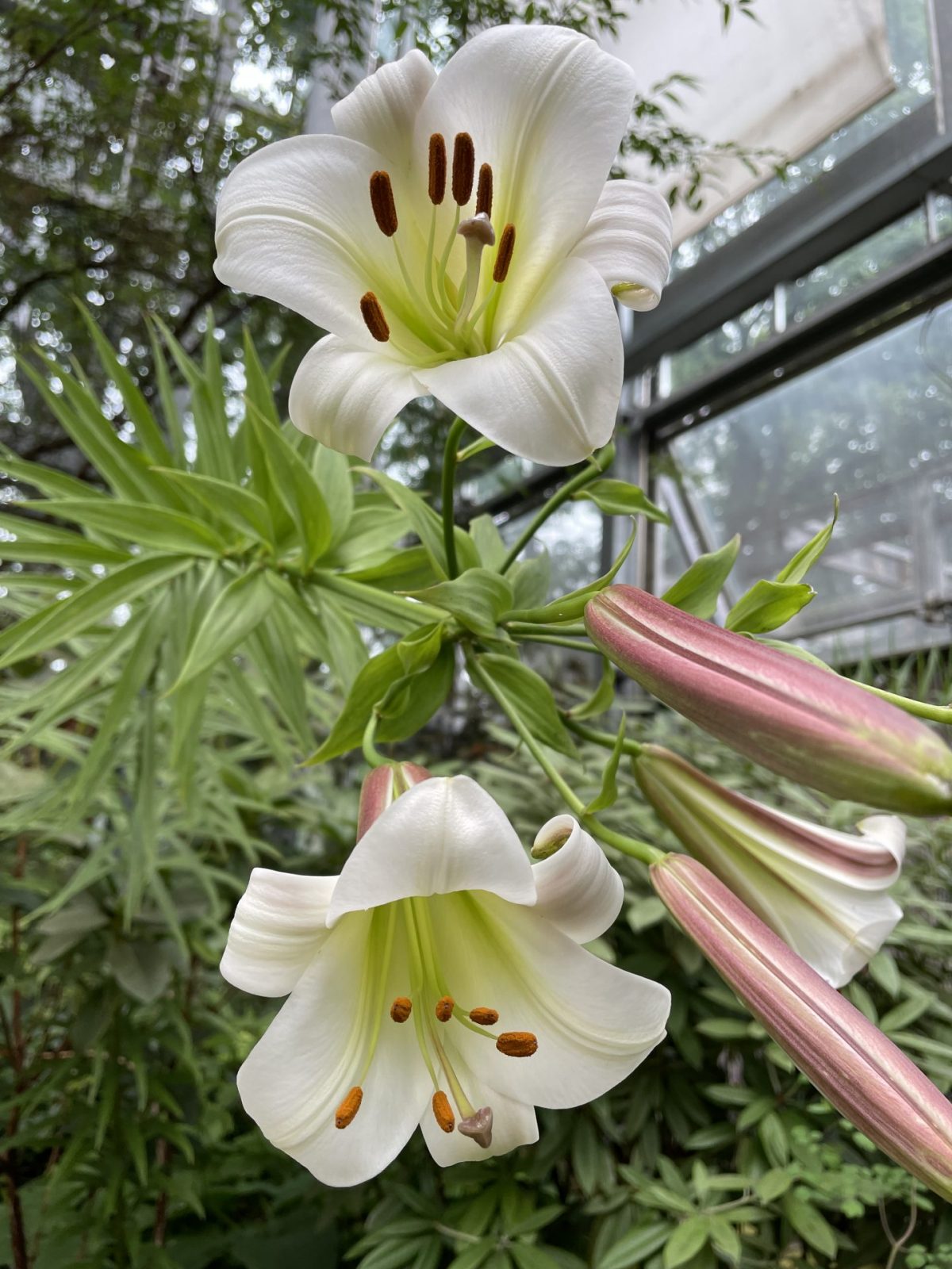 FE9FEA14-F4C4-4DB8-B8E6-D5C06CF2C2DE