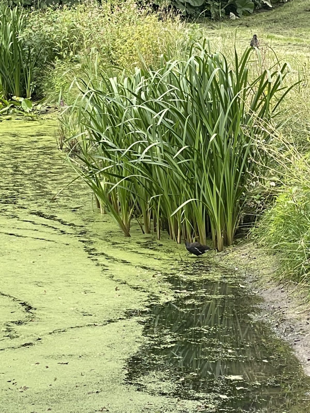 FEED8BE6-1D05-4B3D-B40F-697BCD4219E0