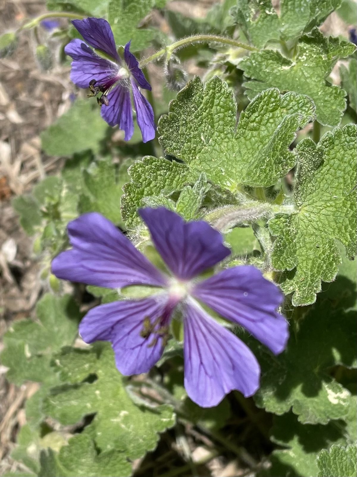 FF96657C-17FF-42E0-B91D-A8C89E334B1D