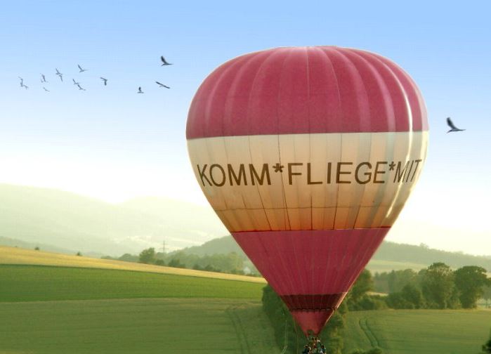FLIEGE MIT