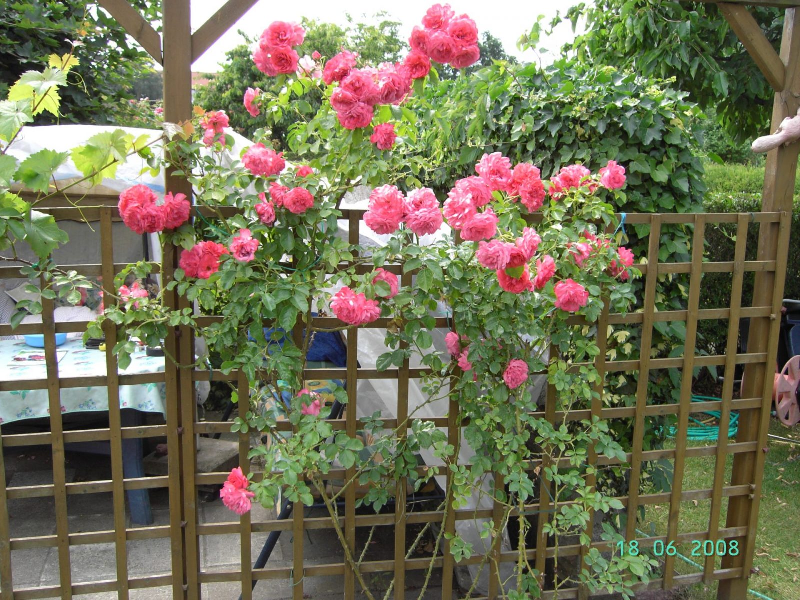 Forchheim5. Juni 092