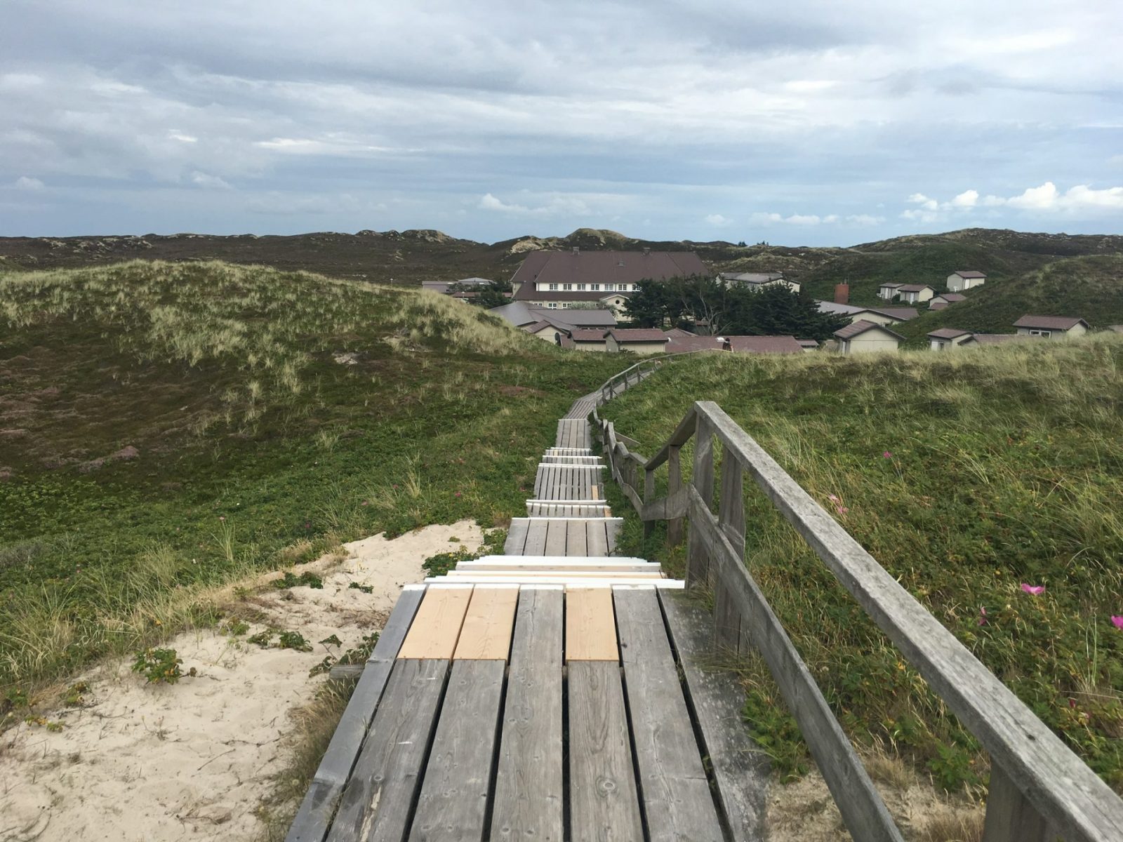 Foto 11.08.17, 17 59 49