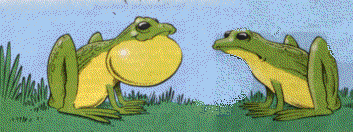 Froesche mit Airbag 2