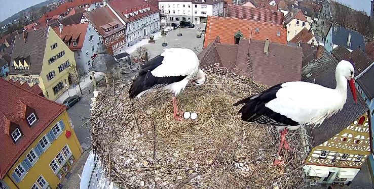 GEROME UND FRIEDA AUS HESSEN