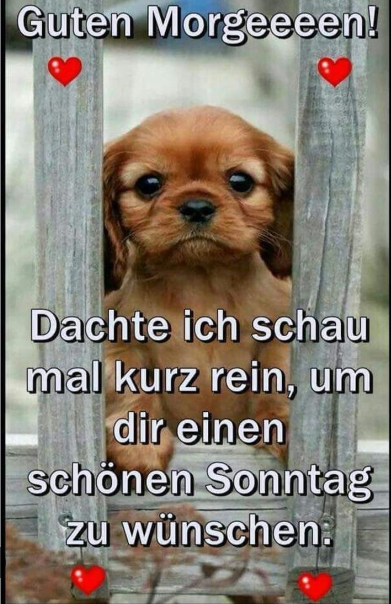 Gallery_1754793390557