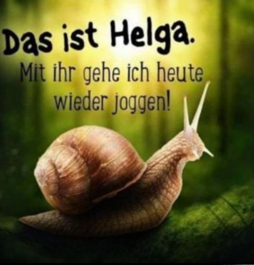 Gallery_1755110536362