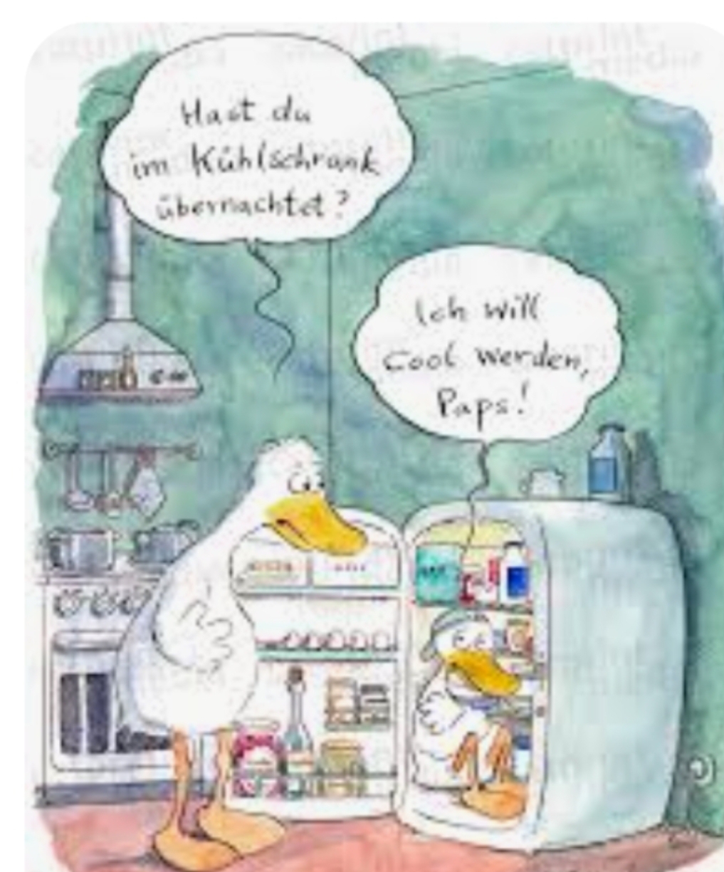 Gallery_1755244227182