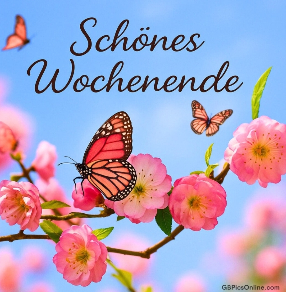 Gallery_1756530939465