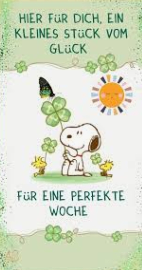 Gallery_1756695761558