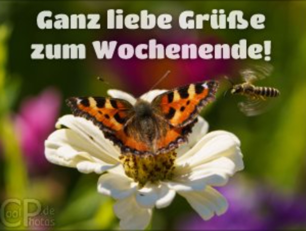 Gallery_1757137859560