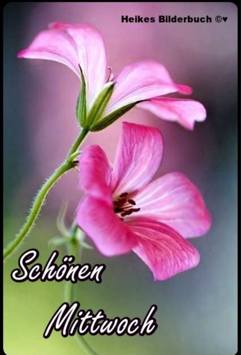 Gallery_1757477699878