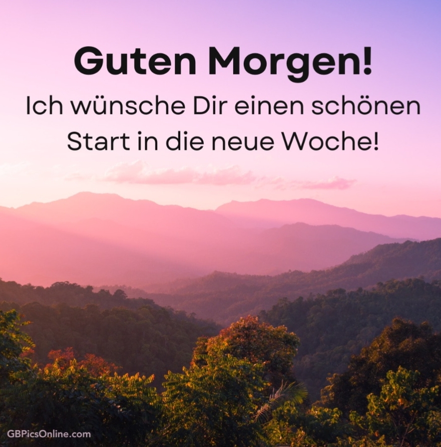 Gallery_1759723707612