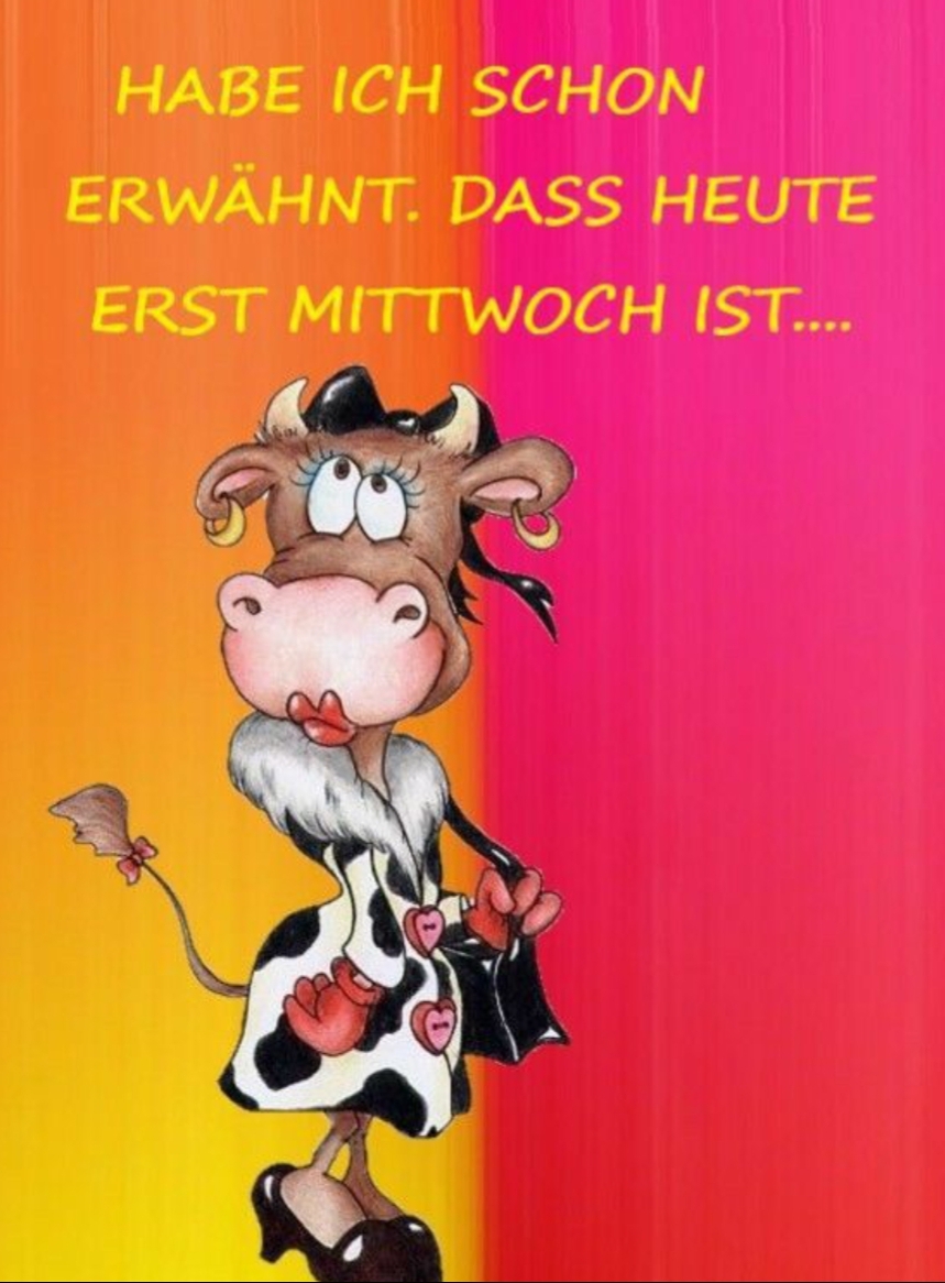 Gallery_1759867591150