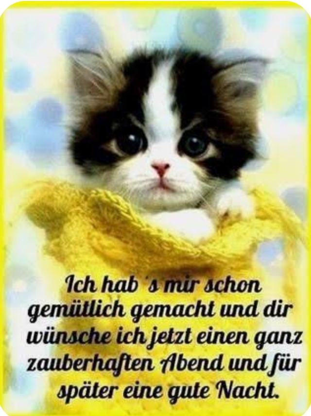 Gallery_1759937779628