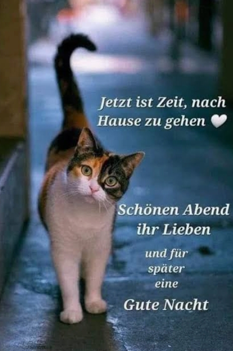 Gallery_1760462579359