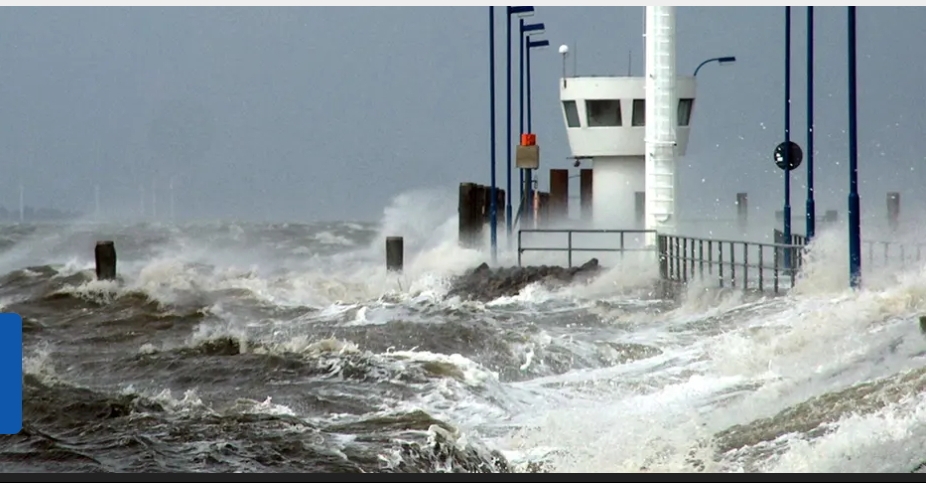 Gallery_1761122560748