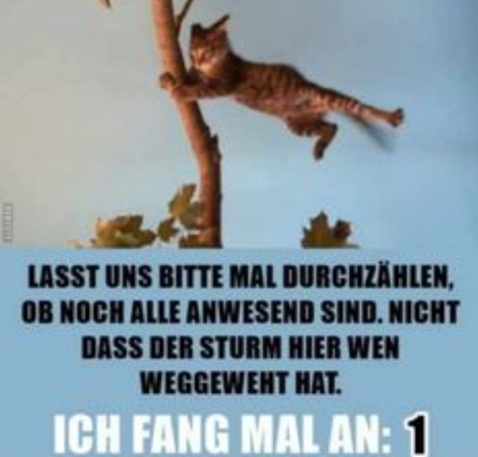 Gallery_1761128477031