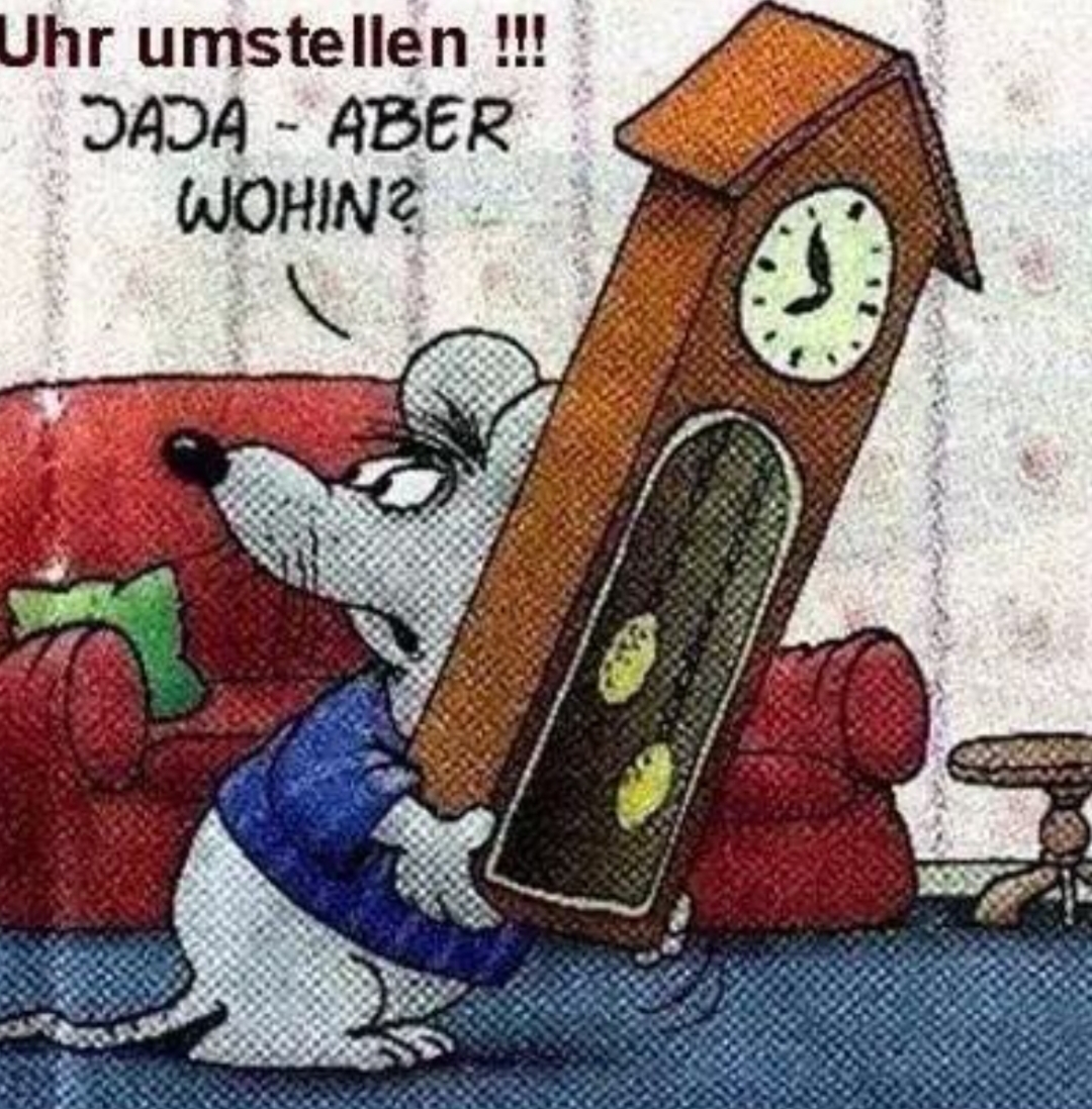 Gallery_1761453530565