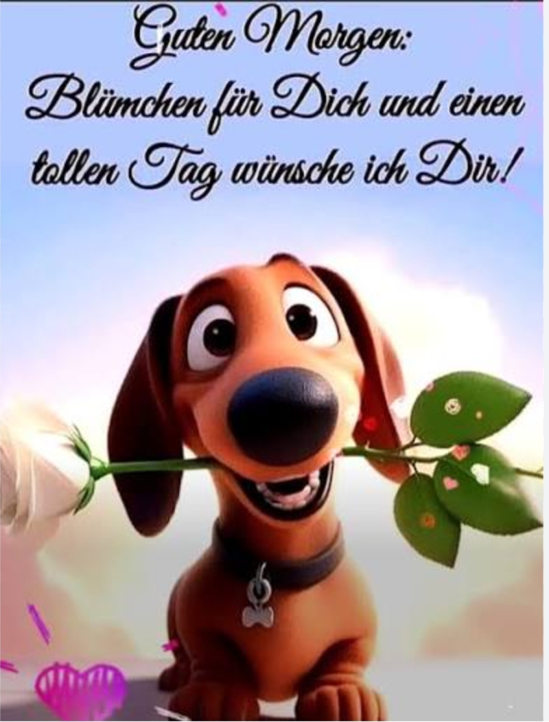 Gallery_1761887819954