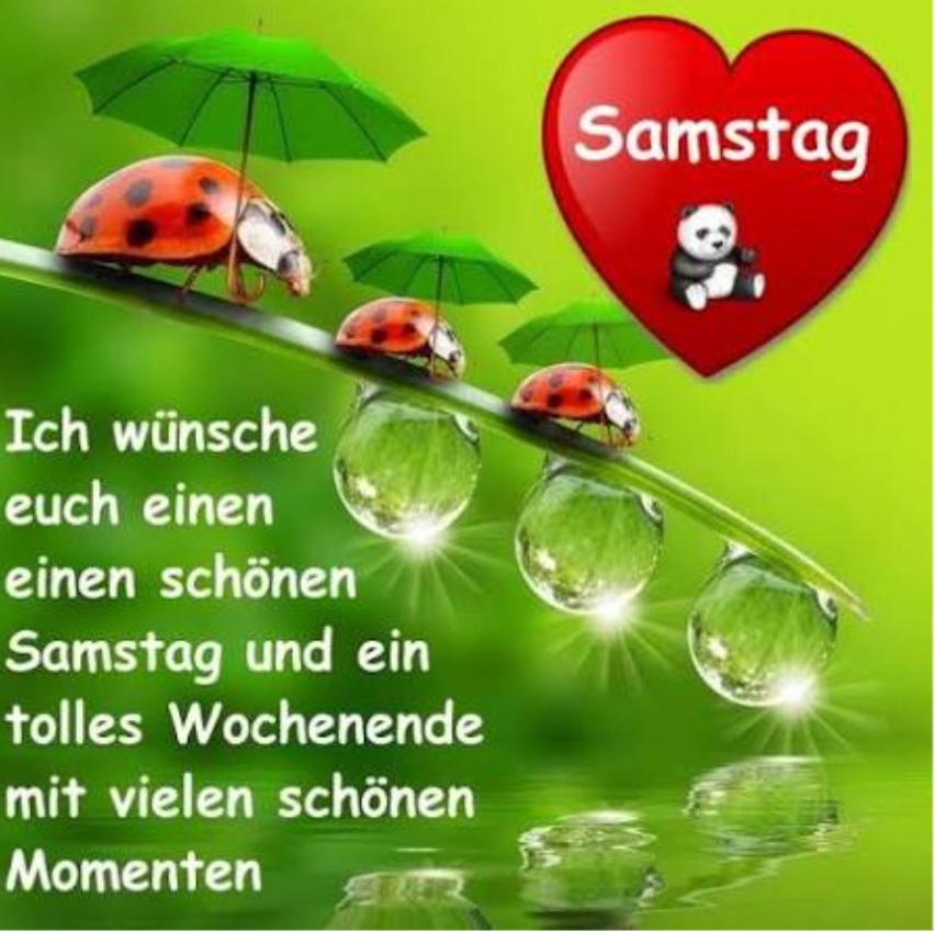 Gallery_1761983316381