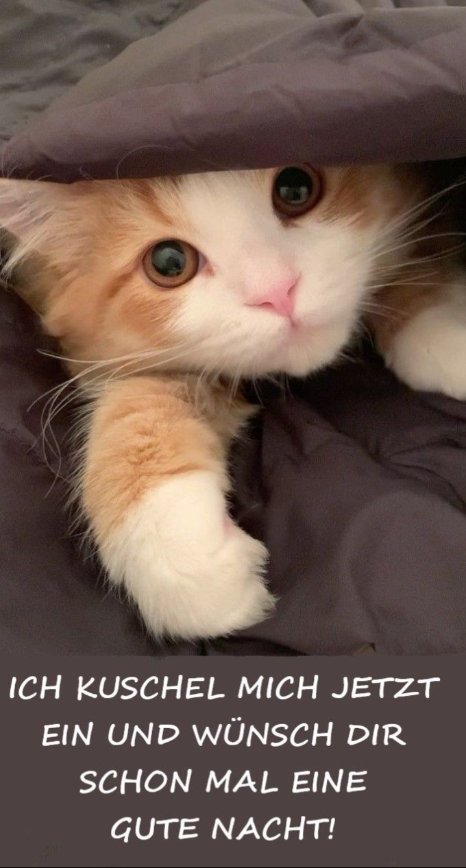 Gallery_1762103637330