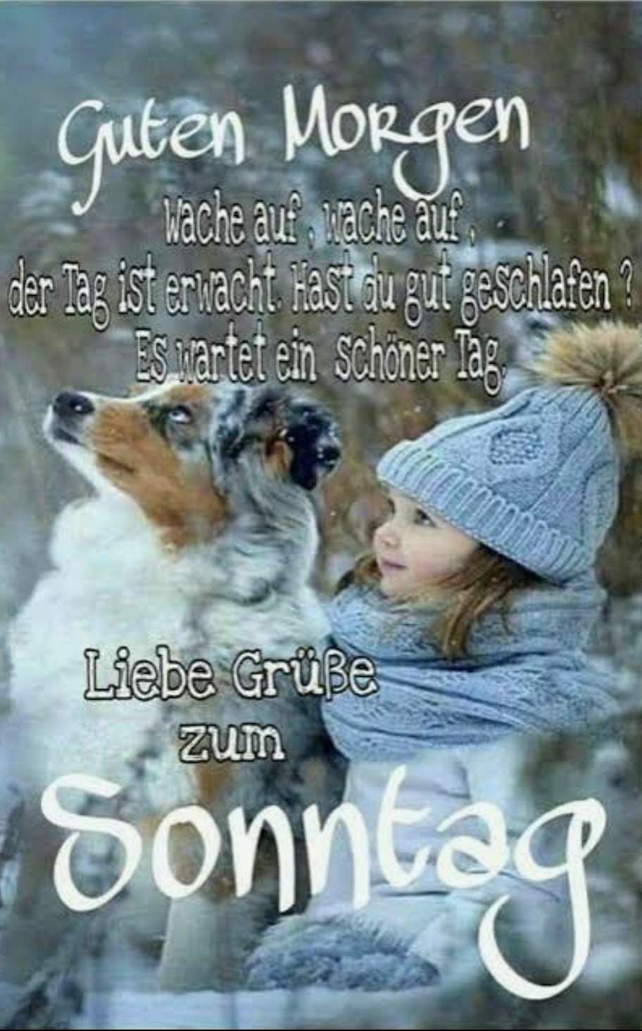 Gallery_1763873283991