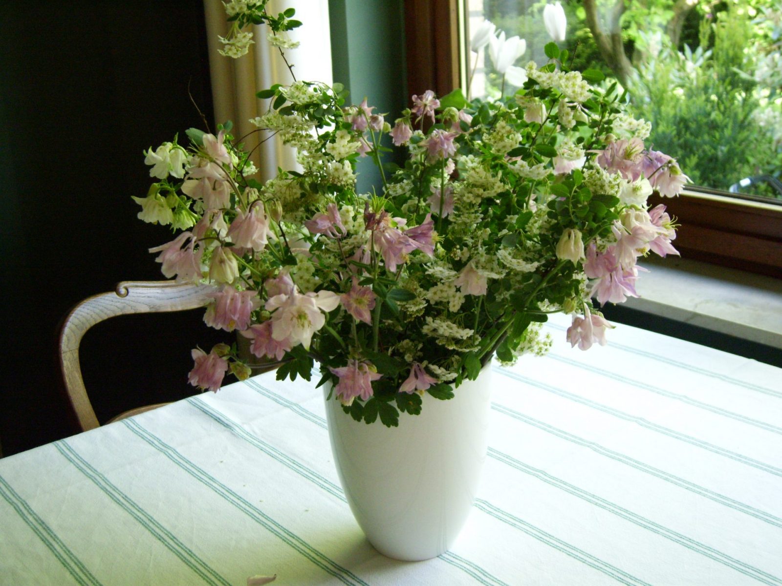 Garten - Mai 2009 010