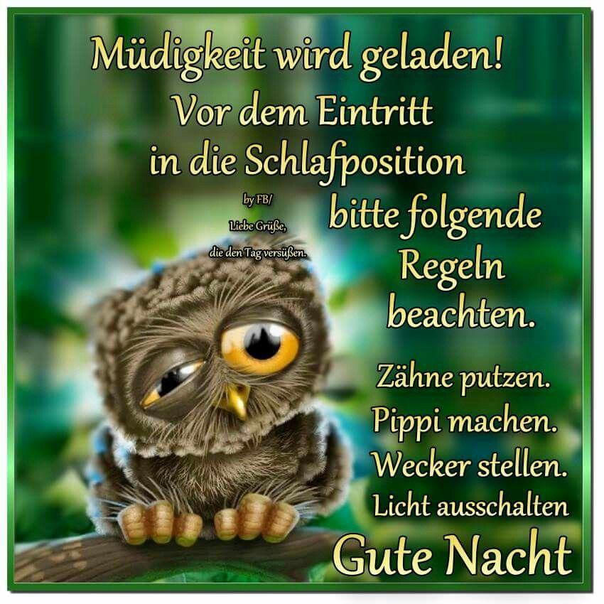 GlückwünscheApp_79509