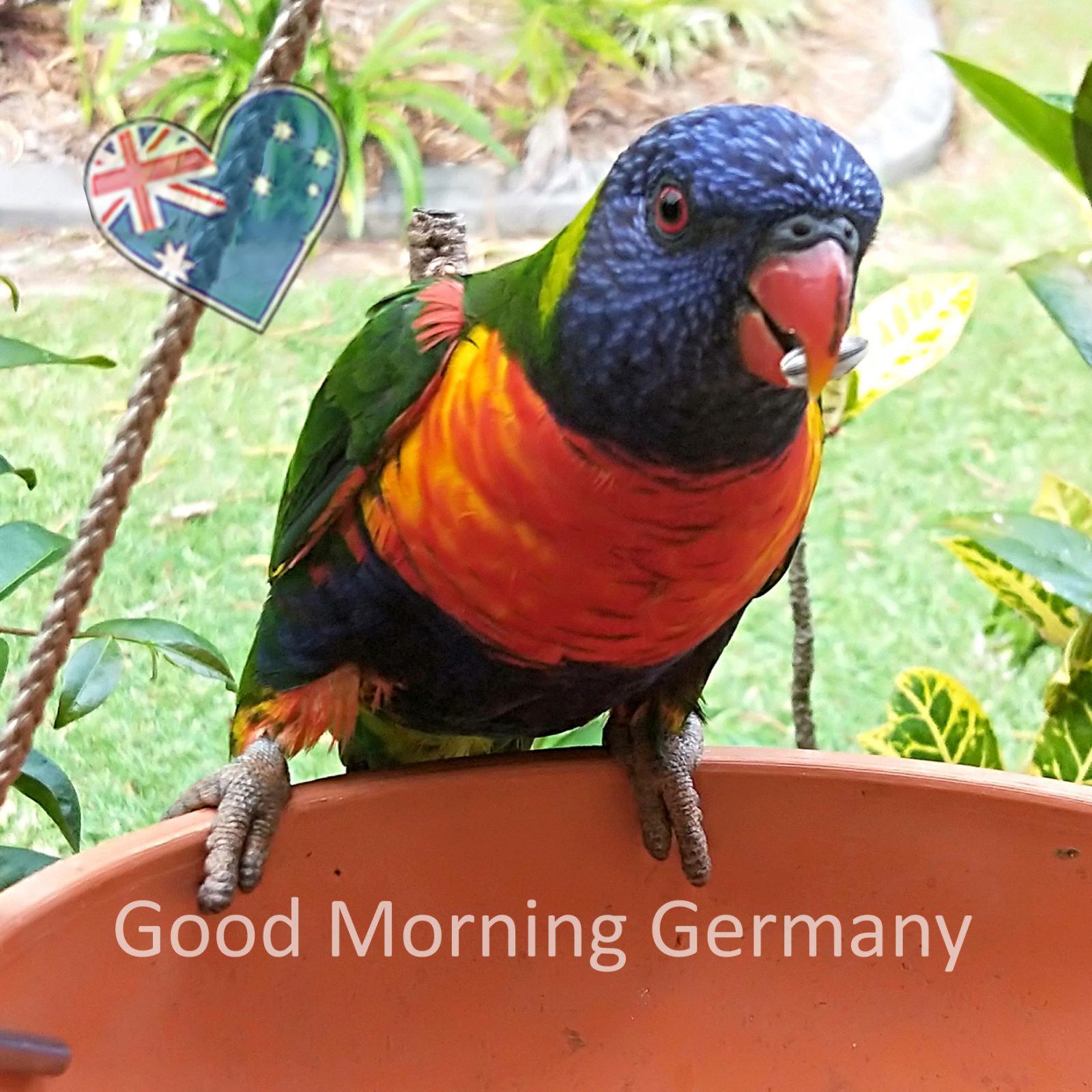 Good Morning Germany