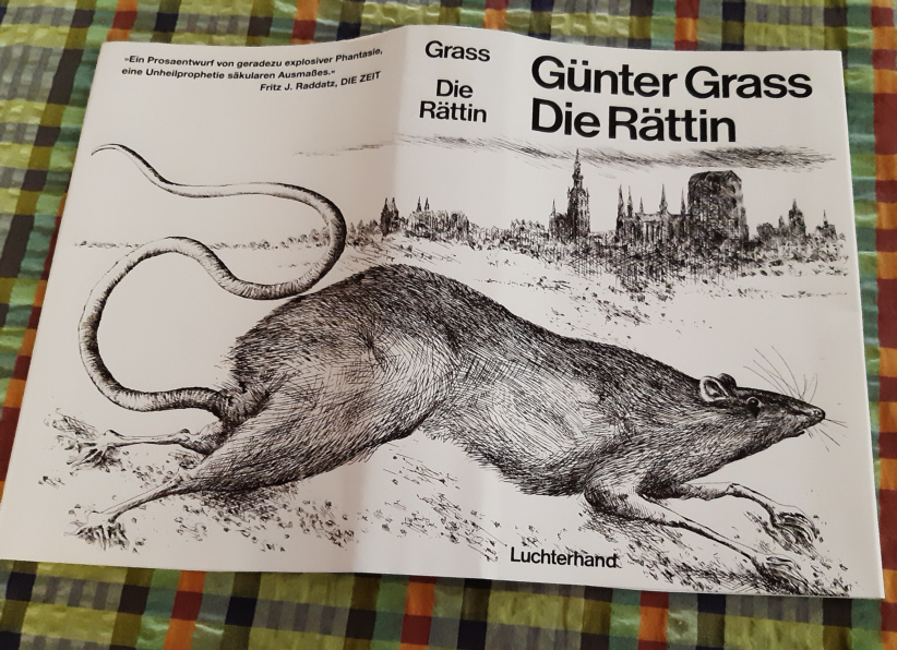 Grass Rättin