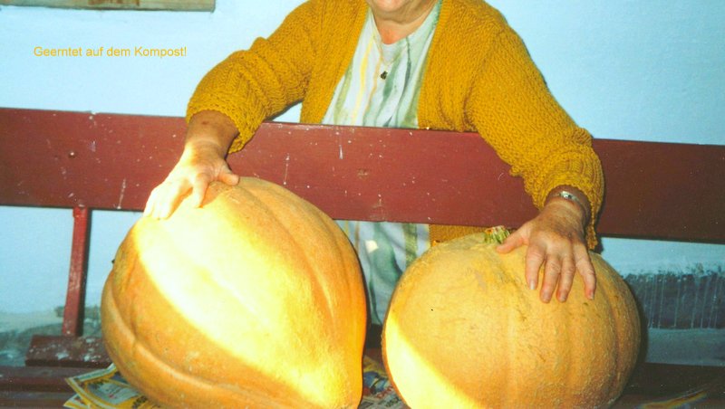 Gundula mit Kürbisernte 2005