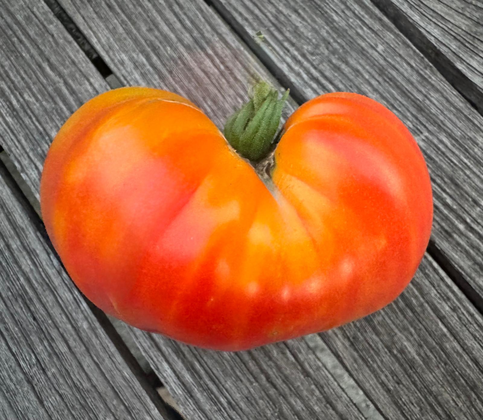 HERZTOMATE