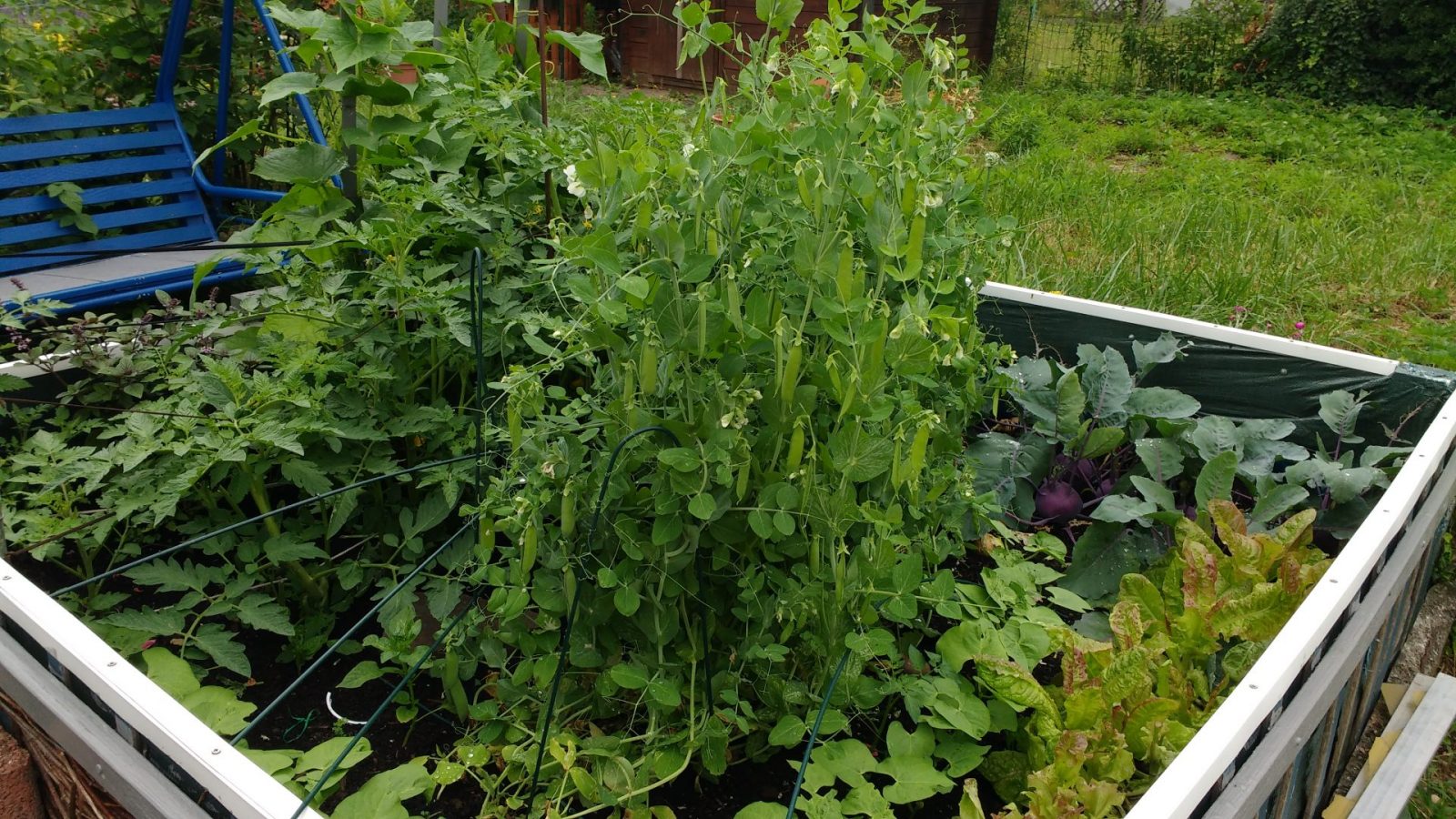 Hochbeet
