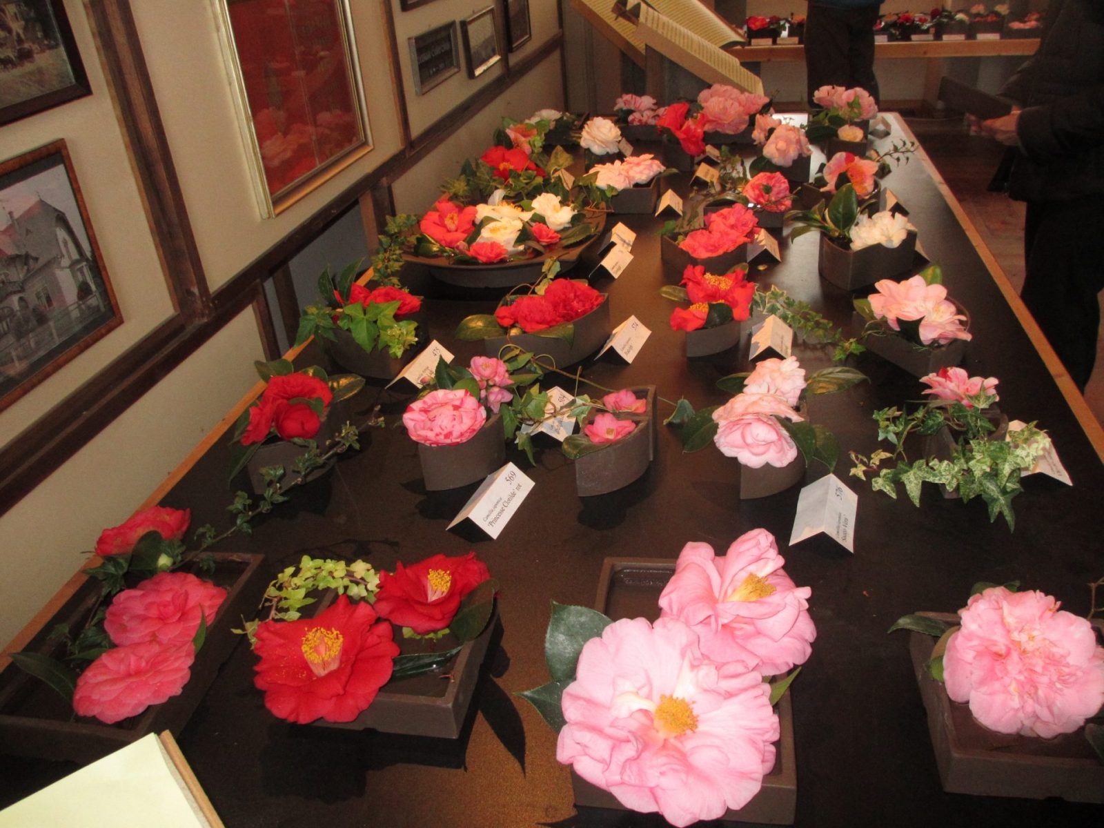 IMG_0015 - Kopie (2)