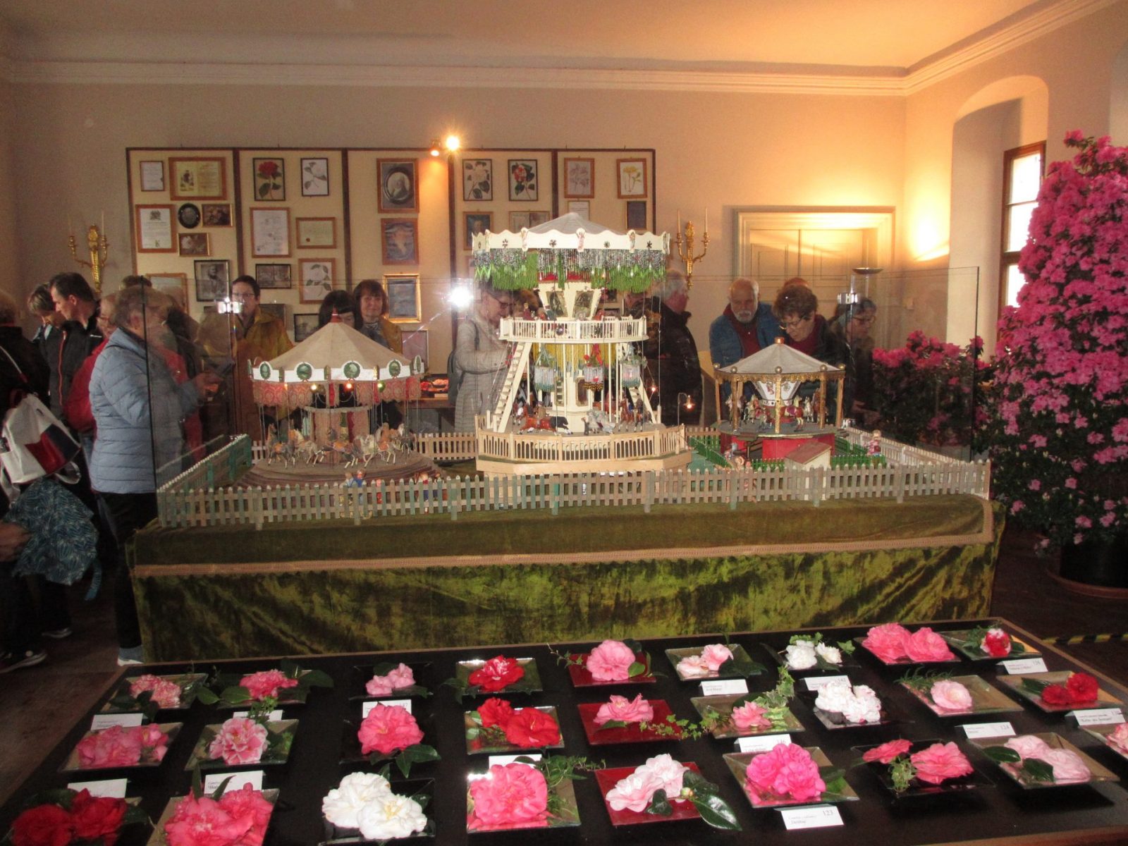 IMG_0022 - Kopie (2)