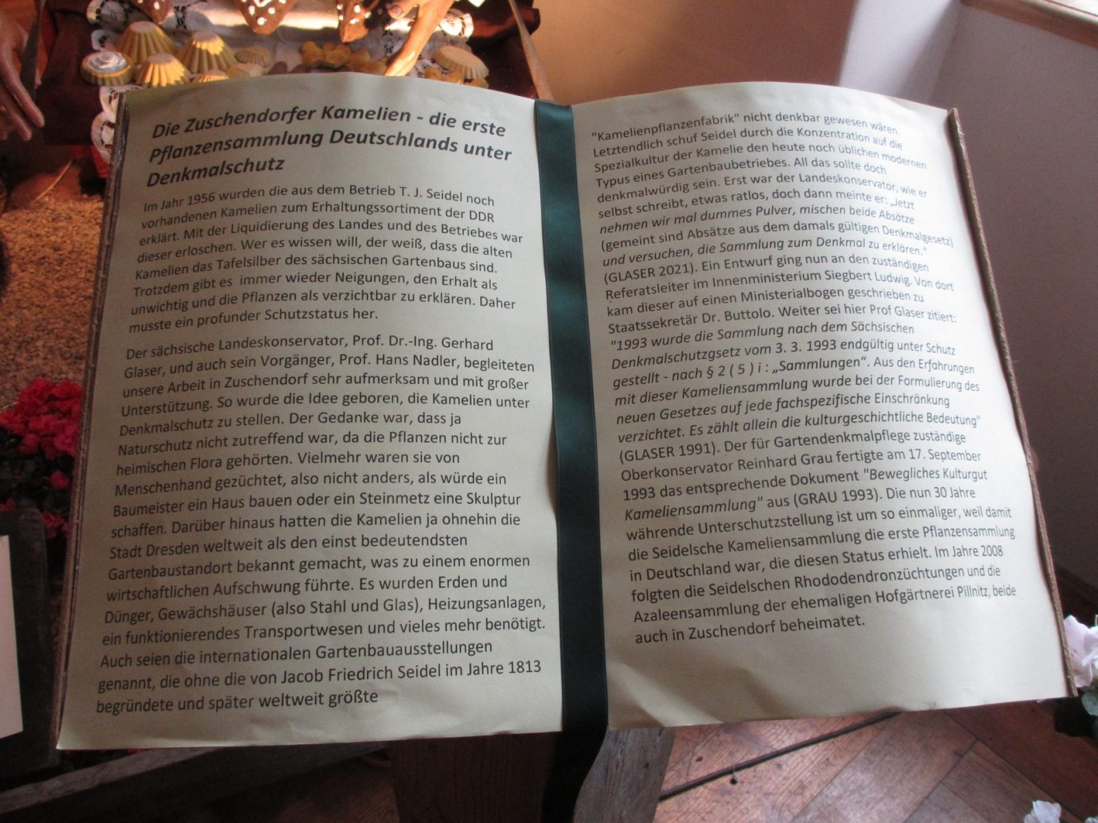 IMG_0023 - Kopie (2)