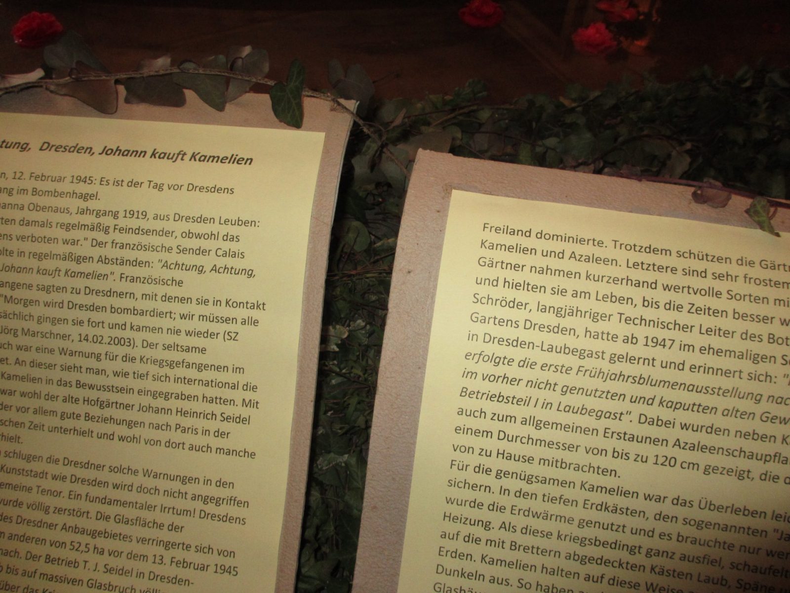 IMG_0027 - Kopie (2)