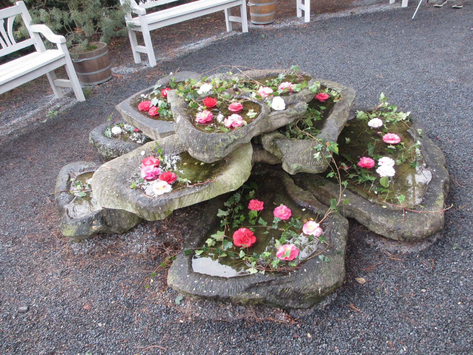 IMG_0028 - Kopie (2)