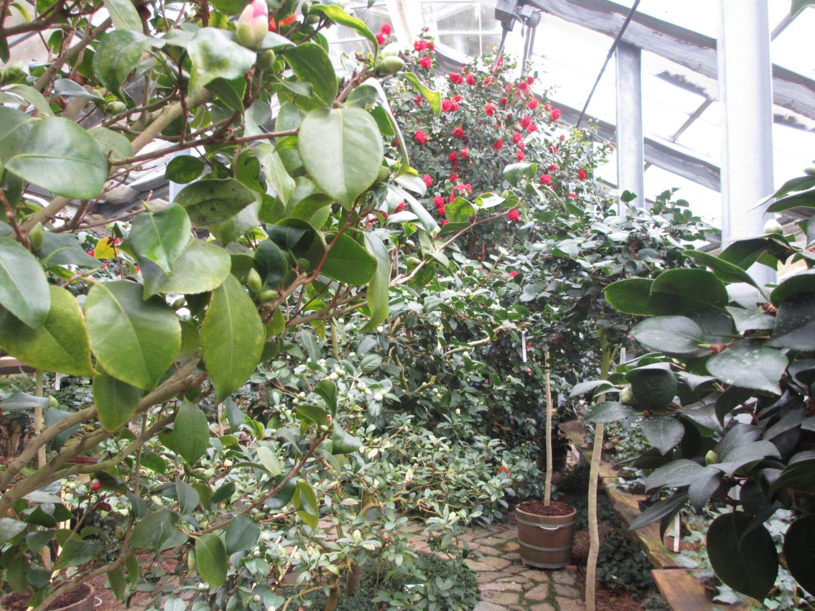 IMG_0033 - Kopie (2)