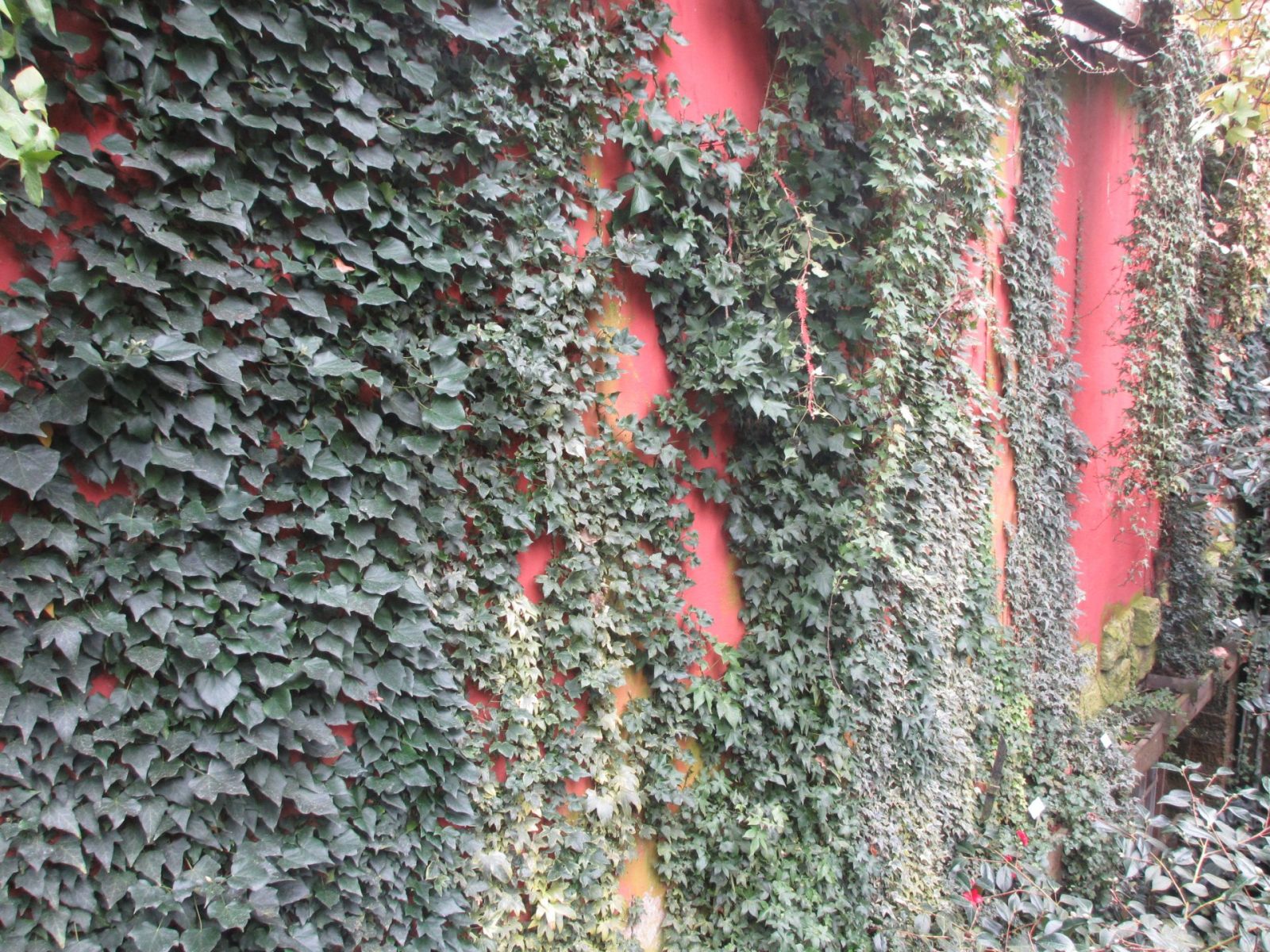 IMG_0040 - Kopie (2)