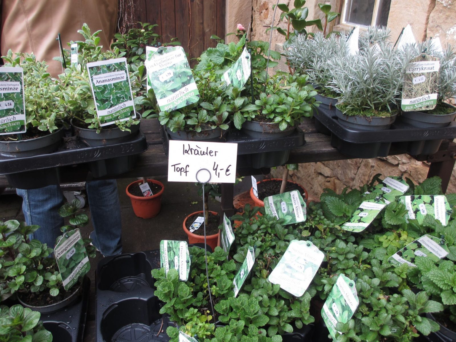 IMG_0054 - Kopie (2)