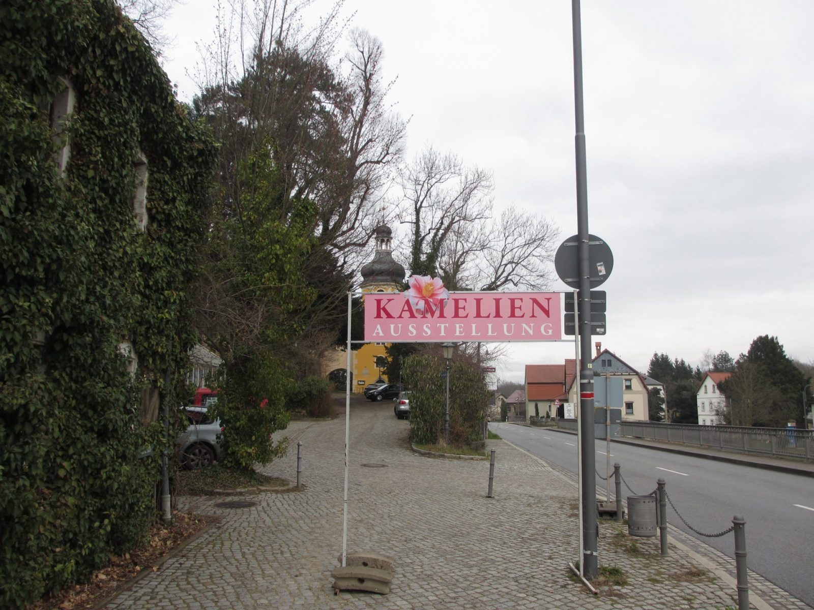 IMG_0055 - Kopie (2)