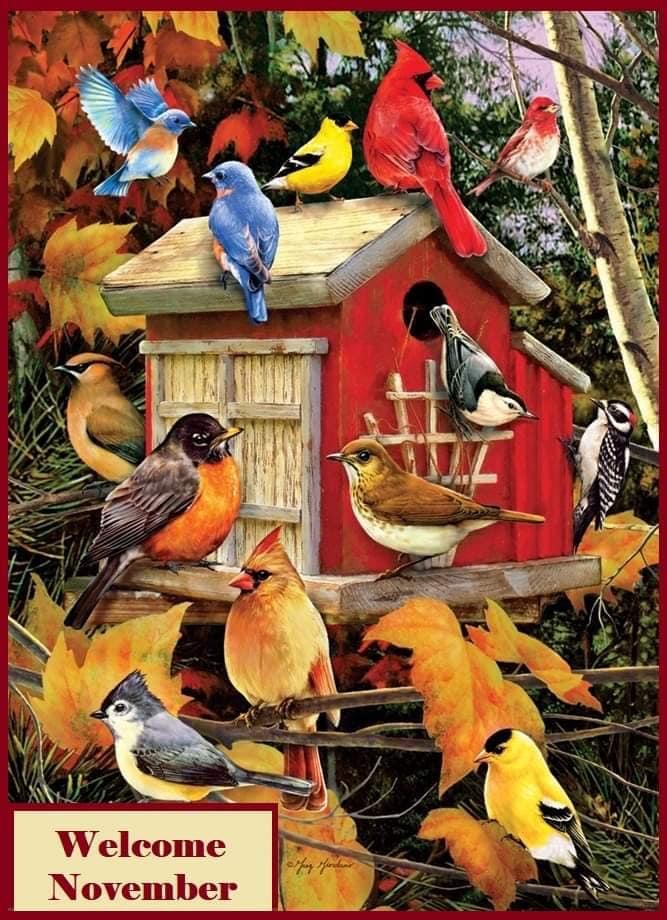 IMG_0079.JPG Willkommen November.JPG aaaaa