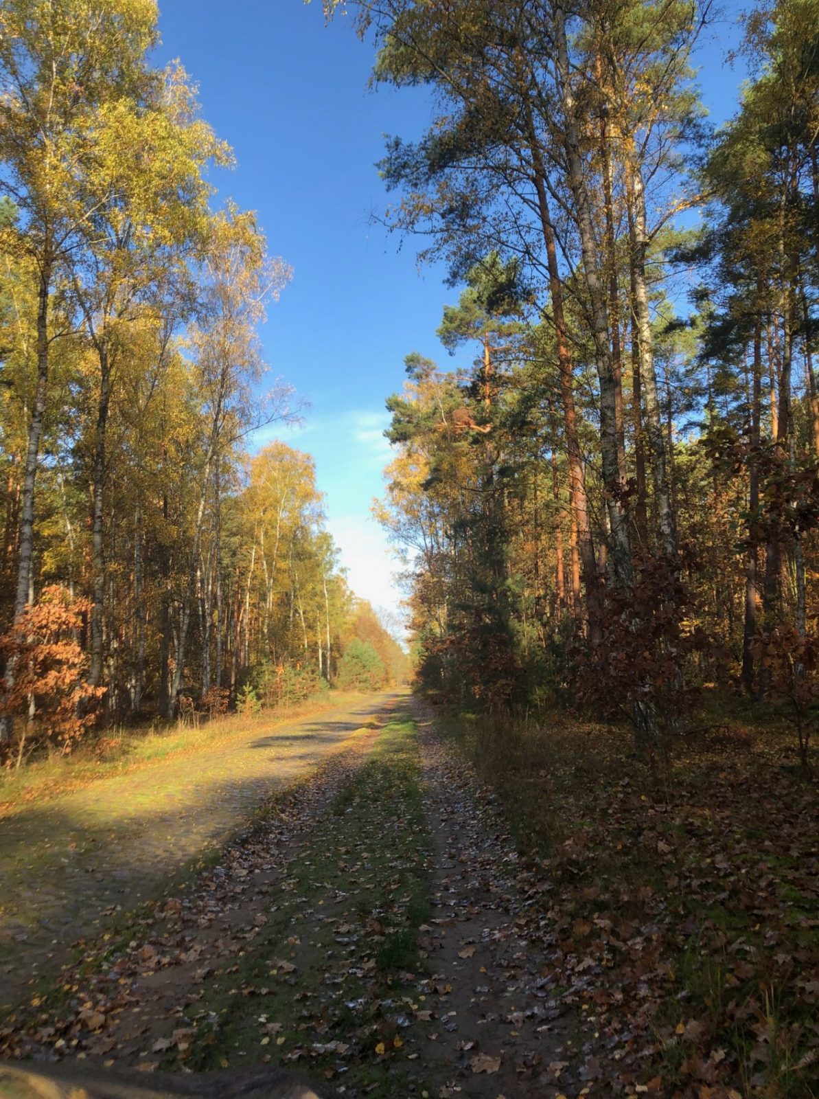 IMG_0096.jpg wer02.11 4