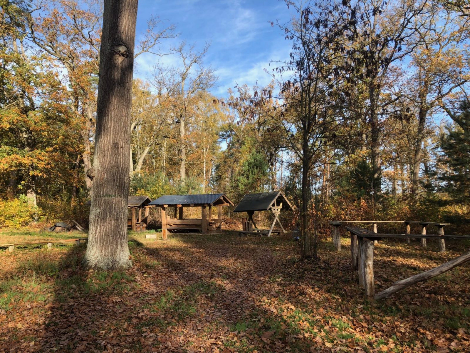 IMG_0097.jpg wer 02.11