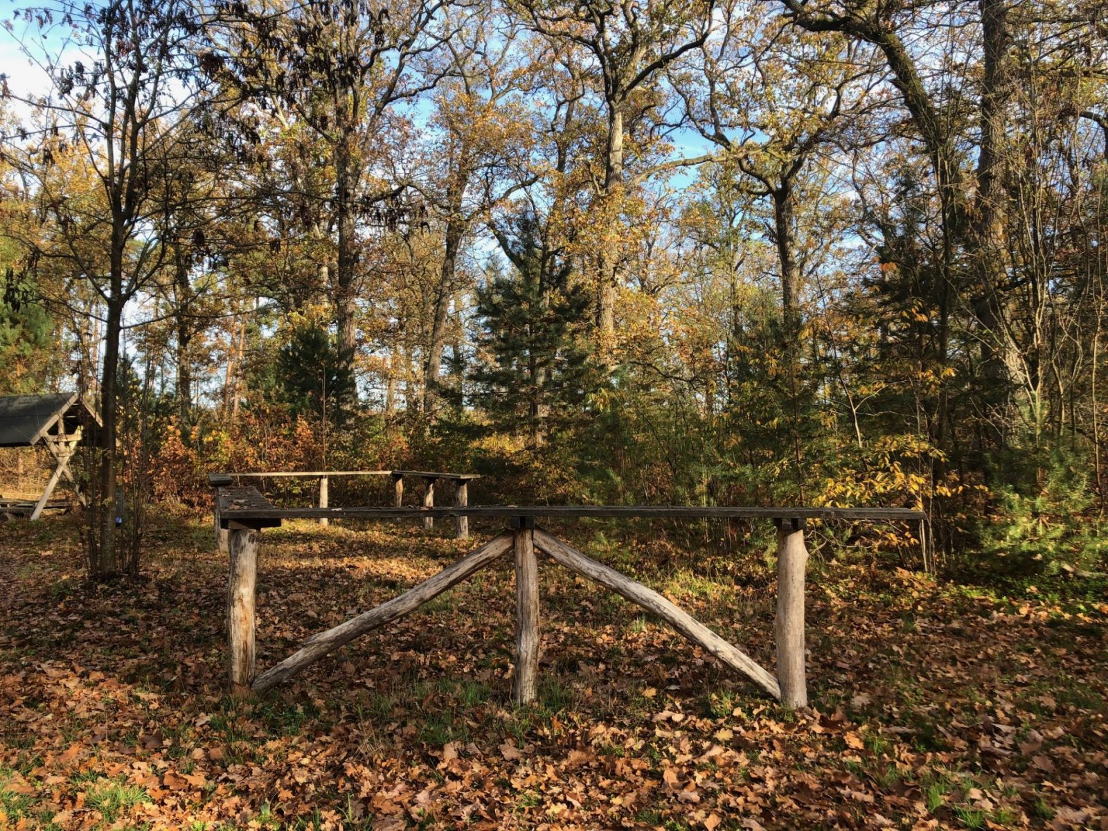 IMG_0100.jpg wer 02.11