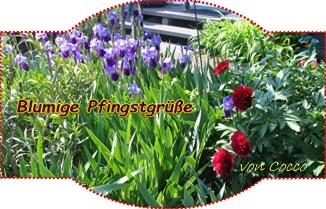 IMG_0245-pfingstgr.