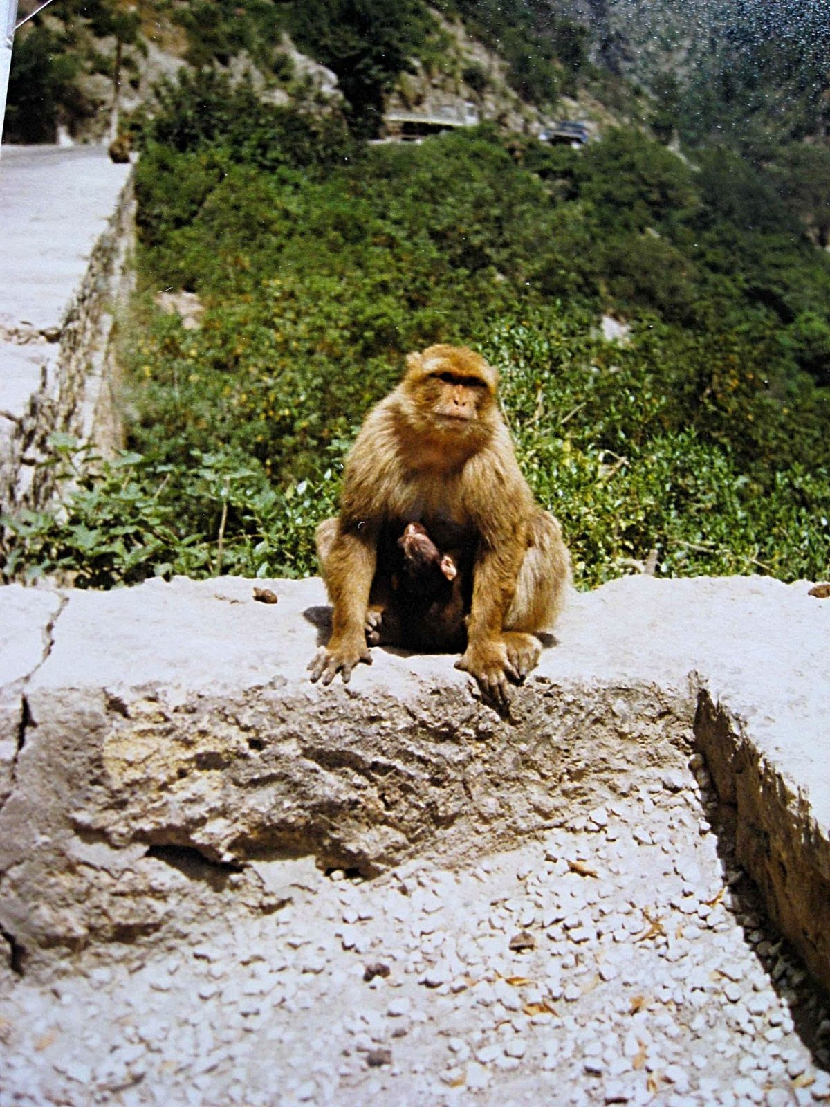 IMG_0325-fotor-20240531214134