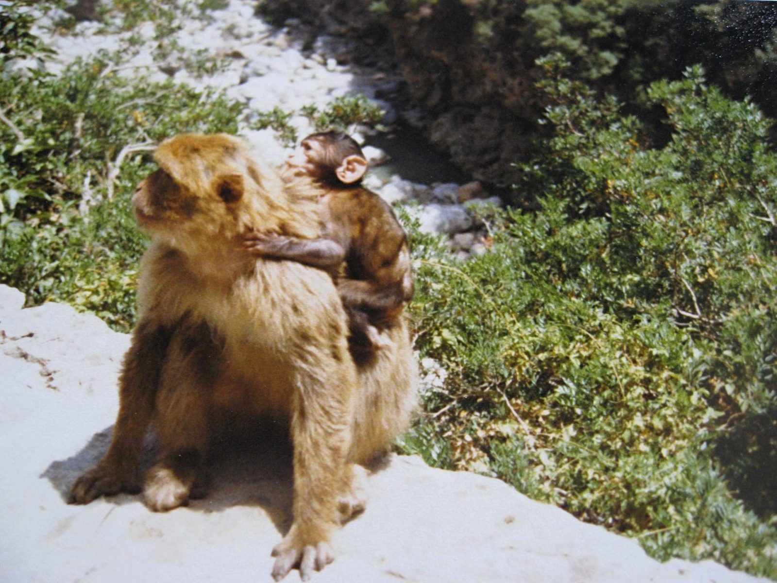 IMG_0327-fotor-20240531214332